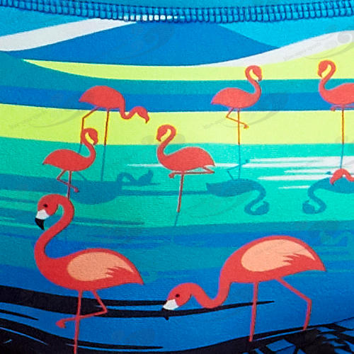 Funky Trunks® Prancerise Boys Printed Trunk 5