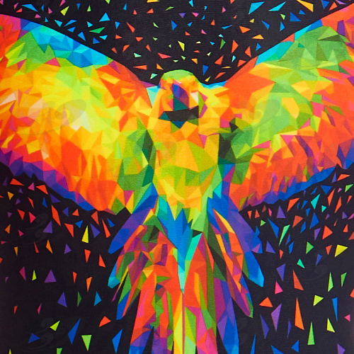 Funky Trunks® King Parrot Boys Printed Trunk 5